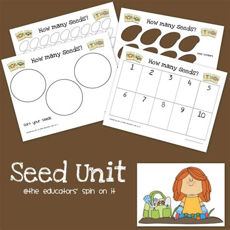 Printable The Tiny Seed Activities